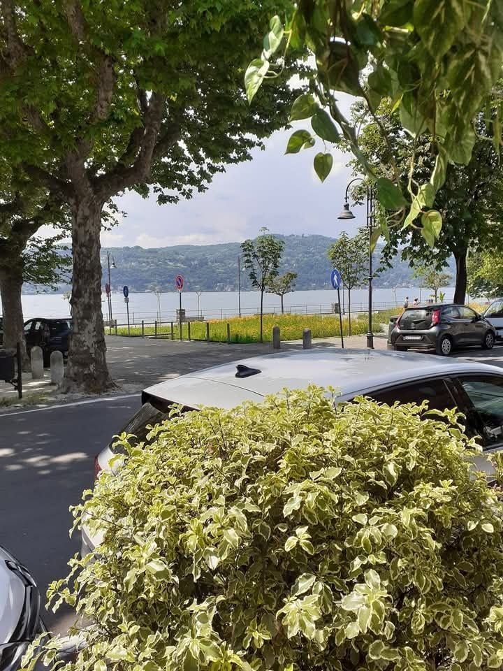 Alberi, cespugli e in lontananza il lago.