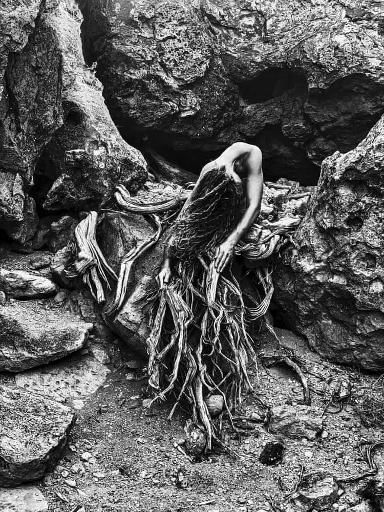 Un corpo intrecciato con le radici di un albero. 
