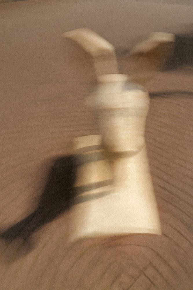 Das Bild zeigt eine unscharfe Darstellung einer Rehskulptur, die auf Pflastersteinen steht mit ihrem Schatten . Die Unschärfe deutet auf Bewegung hin.