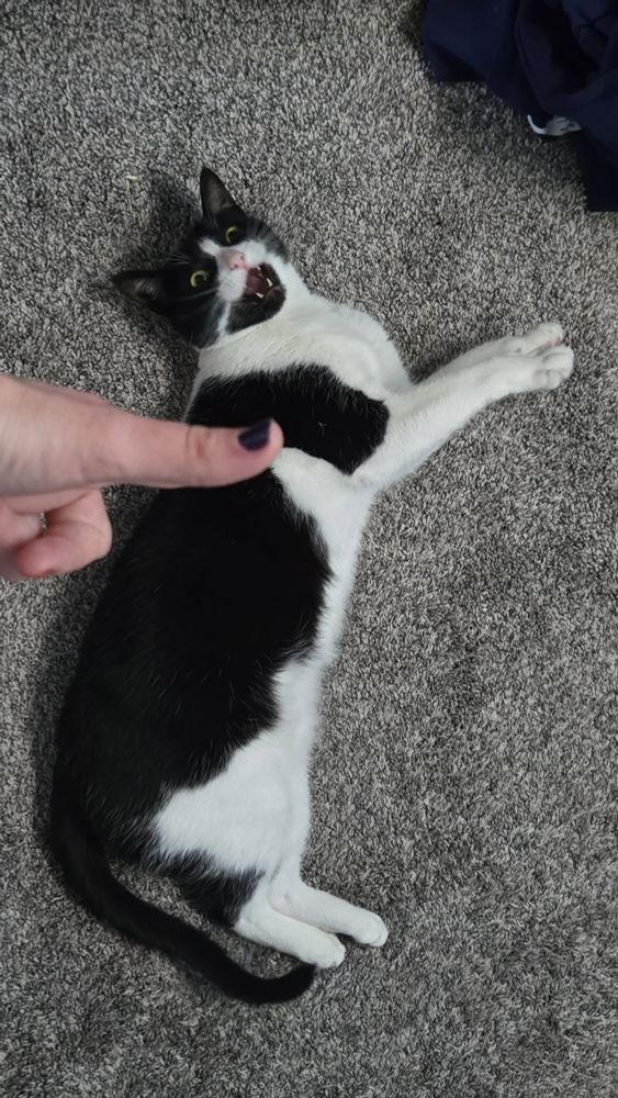 Pockey again 🗣‼️