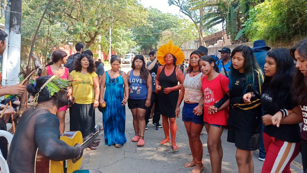 Racismo Ambiental: mulheres indígenas e quilombolas na proteção de seus povos contra a Covid-19