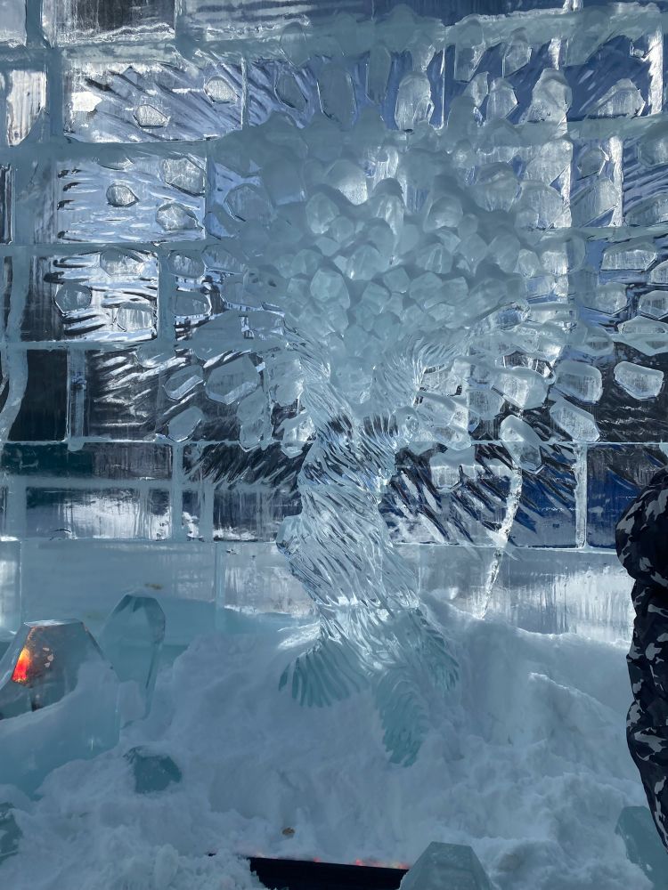 A part of the Ice Palace in Québec