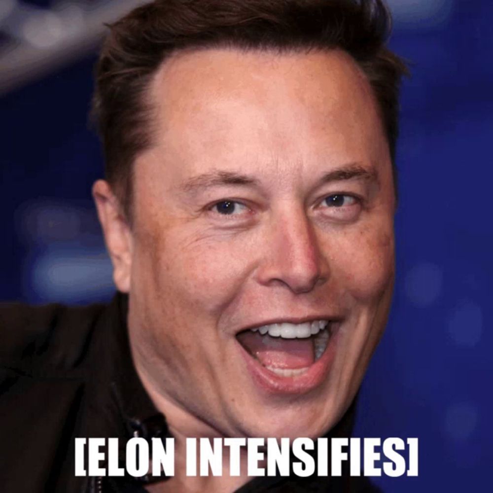 Elon Musk GIF