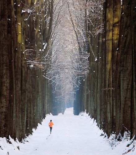 Hallmark movie image