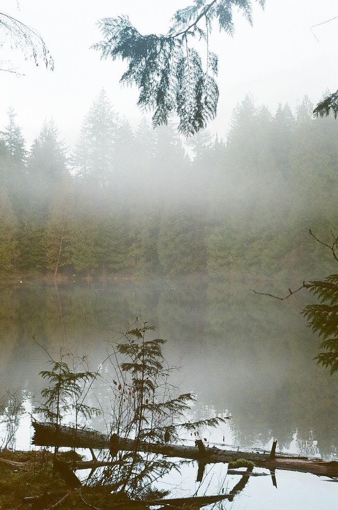 fog hangs over a reflective lake
