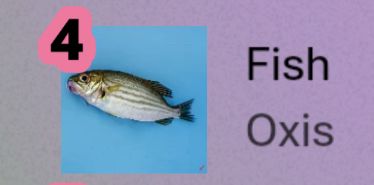 물고기 앨범커버 사진과 아티스트 정보