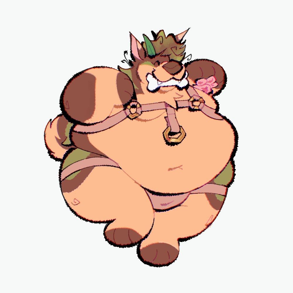 a huge round dog holding a bone in its mouth and wearing a rose harness 