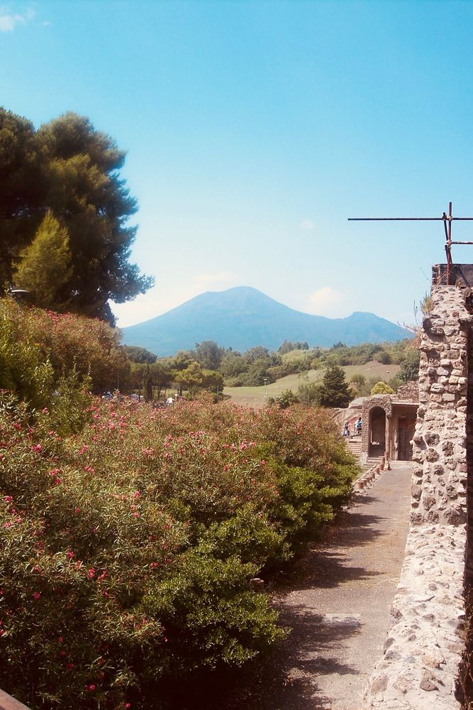 a weathered stone wall in pompeii is on the right side. green bushes with small flowers are prominent on the left. a dirt stone pathway is visible with a few people walking in the distance. on the horizon is the silhouette of mount vesuvius, a large, blue-grey mountain standing against a clear blue sky…