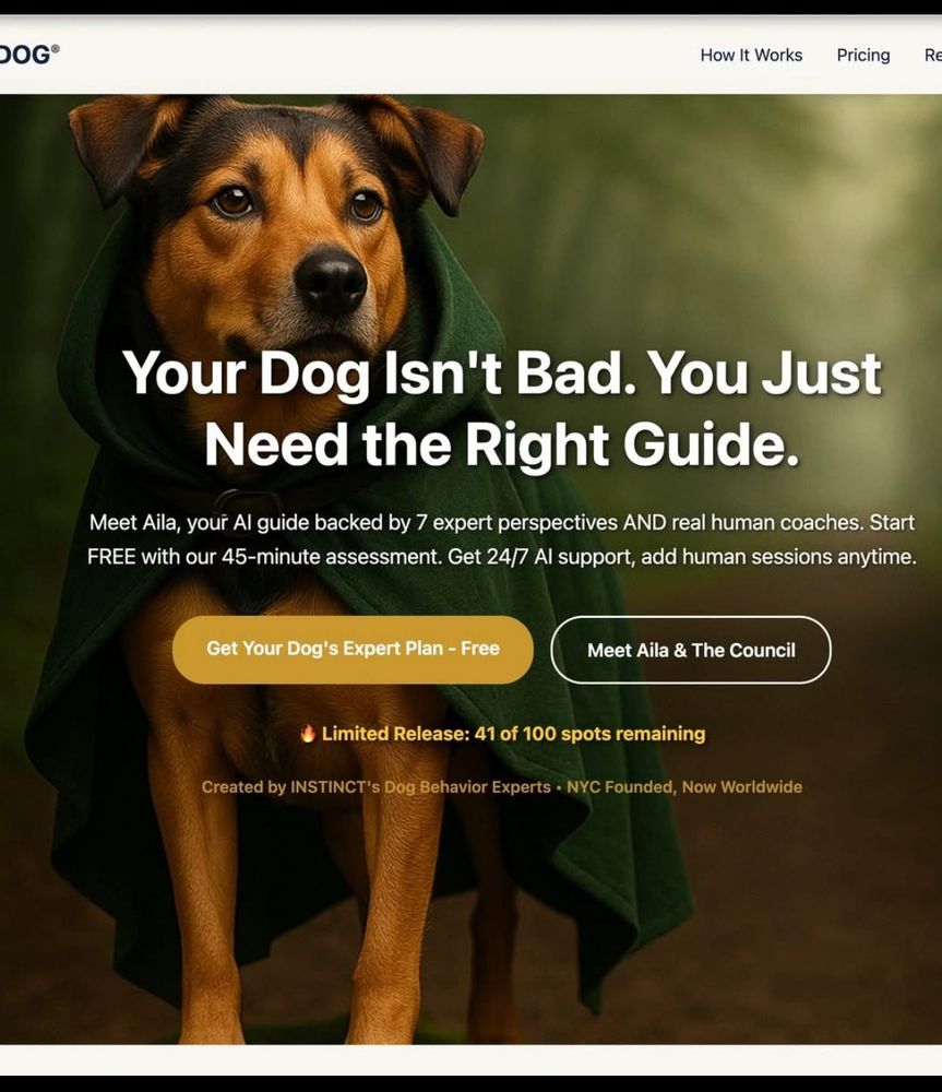 A shitty image of a dog wearing a cape.