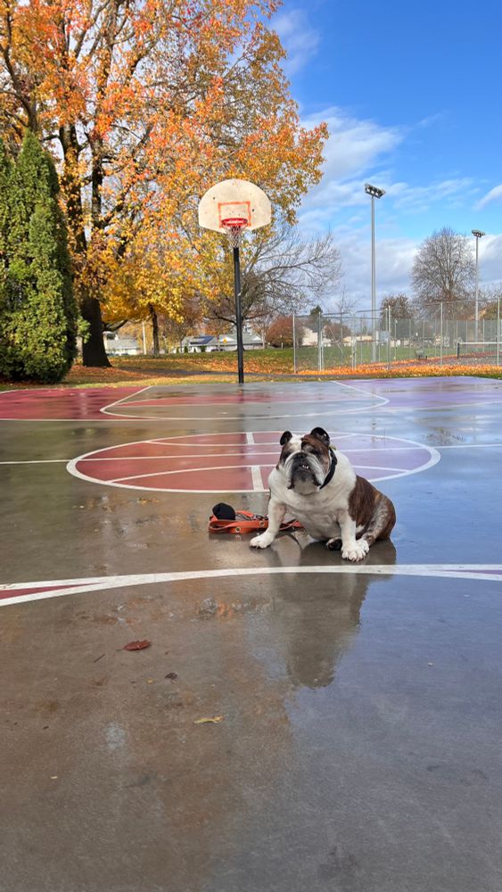 Hoop dreams my buddy 