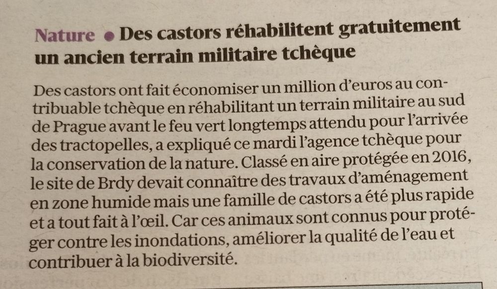 Photo d'une breve du journal "Le progres" relatant qu'en Tchèquie, des castors ont rehabilité un terrain militaire faisant économiser un million d'euros si l'humain s'en était chargé.