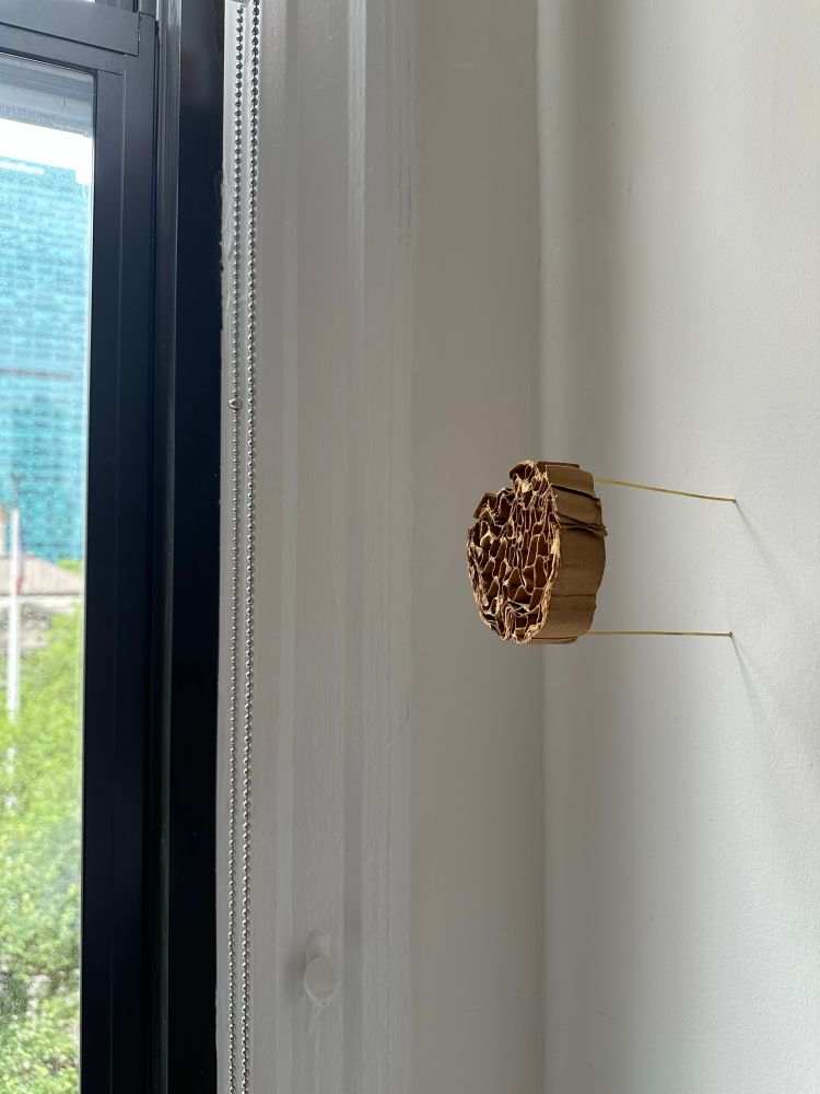 A small brown honeycomb board sculpture with facings removed, formed into a circle and hung under tension between brass wall mounts. A sliver of window appears on the left side of the photo.