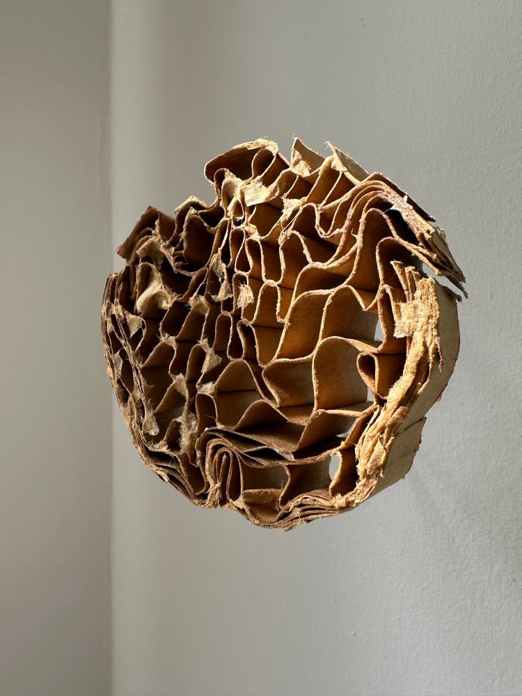 A close up shot of a small brown honeycomb board sculpture with facings removed, formed into a circle and hung under tension between brass wall mounts