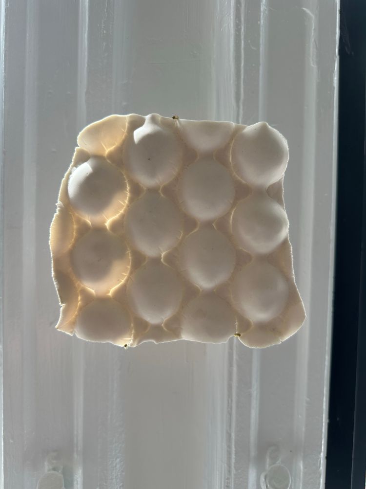 A translucent porcelain sculpture cast from air pillow packaging hanging on a white wall with light from the window making the left side glow