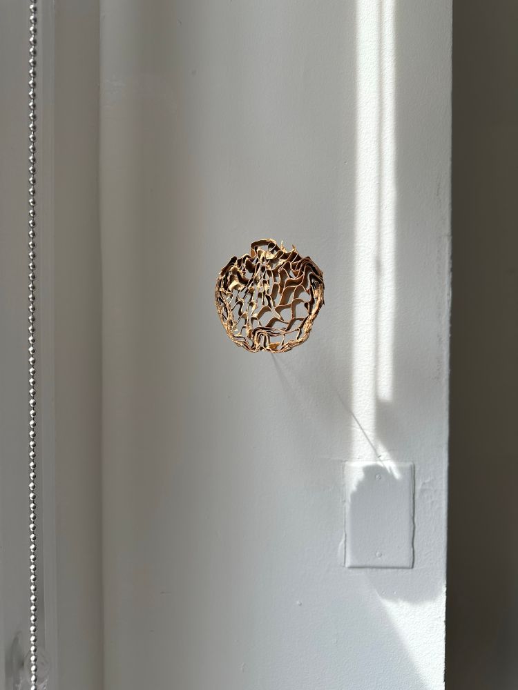 A small brown honeycomb board sculpture with facings removed, formed into a circle and hung under tension between brass wall mounts. A stripe of light from the window is on the wall to the right of the piece.