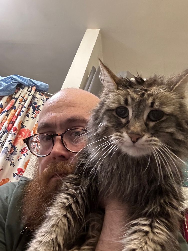 Reagan, a bald guy with red beard and glasses, holds Leopold, a fluffy brown tabby