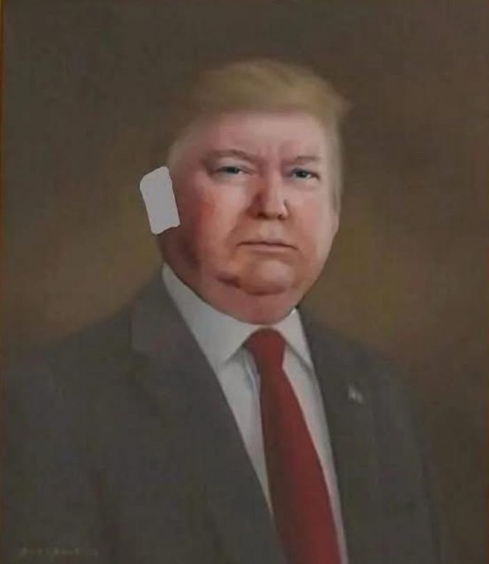 An accurate painting of Donold that shows his very chubby face and a bandage on his ear boo boo. 