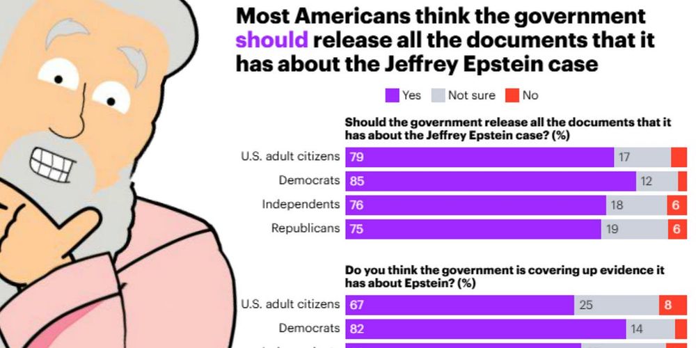 80% Of Americans Want The Epstein Files Released