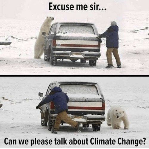 Isbjörn: “Excuse me sir…”
Human: *nothing*
Isbjörn: “Can we PLEASE talk about climate change?”