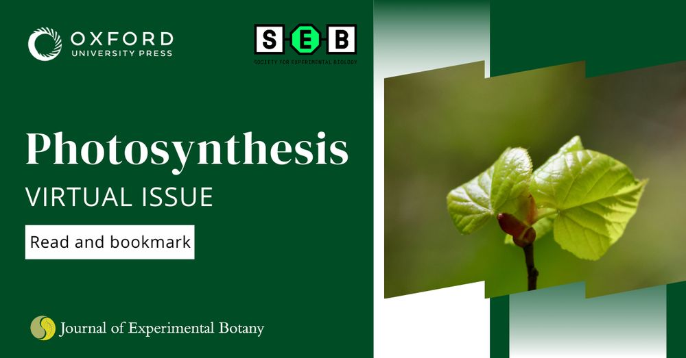 Browse our new virtual issue on Photosynthesis today! OUP