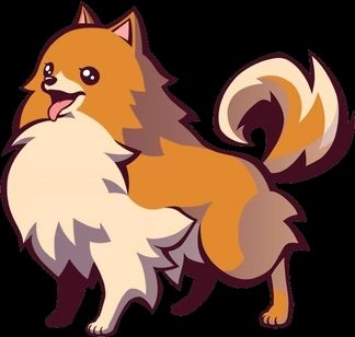 Missile the Pomeranian