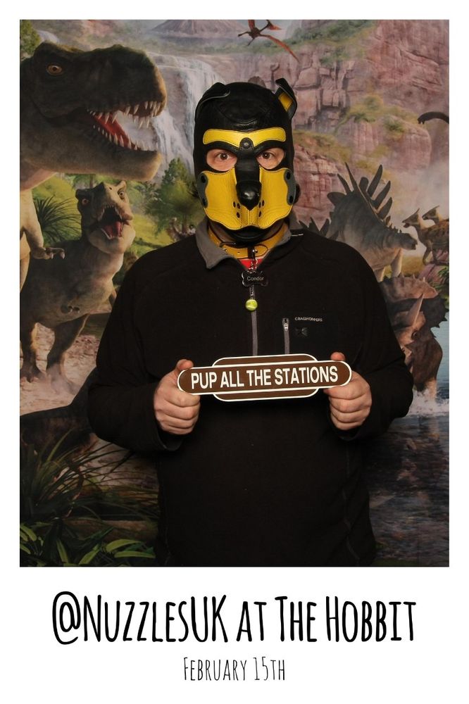 Condor, in his black and yellow leather hood and yellow collar, with a dark blue fleece, posed with a PupAllTheStations totem. His eyes indicate that he has been somewhat startled by the flash. 