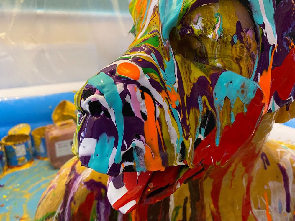 Condor's final hood is a black Wruff Stuff neoprene hood, with red inner ears.  In this photo the hood is completely coated with pre-mixed powder paint, which had been splattered all over the hood.