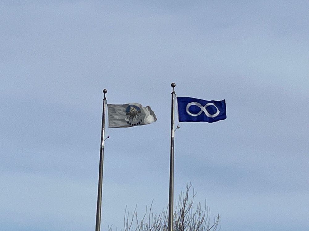Treaty 7 and Metis flags