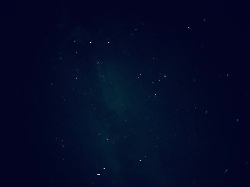 Stars