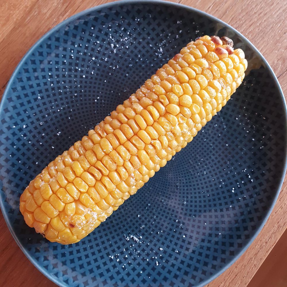 A roasted & salted ear of corn on a blue plate. 