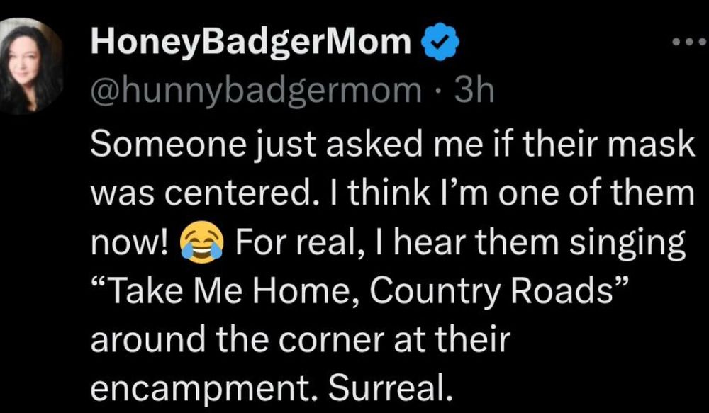 A tweet from Chelly/Honeybadgermom her profile picture is blurry up in the left corner. 