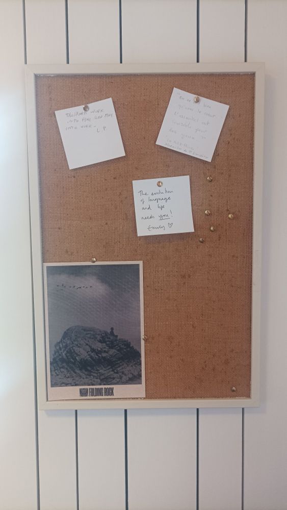 Pin board