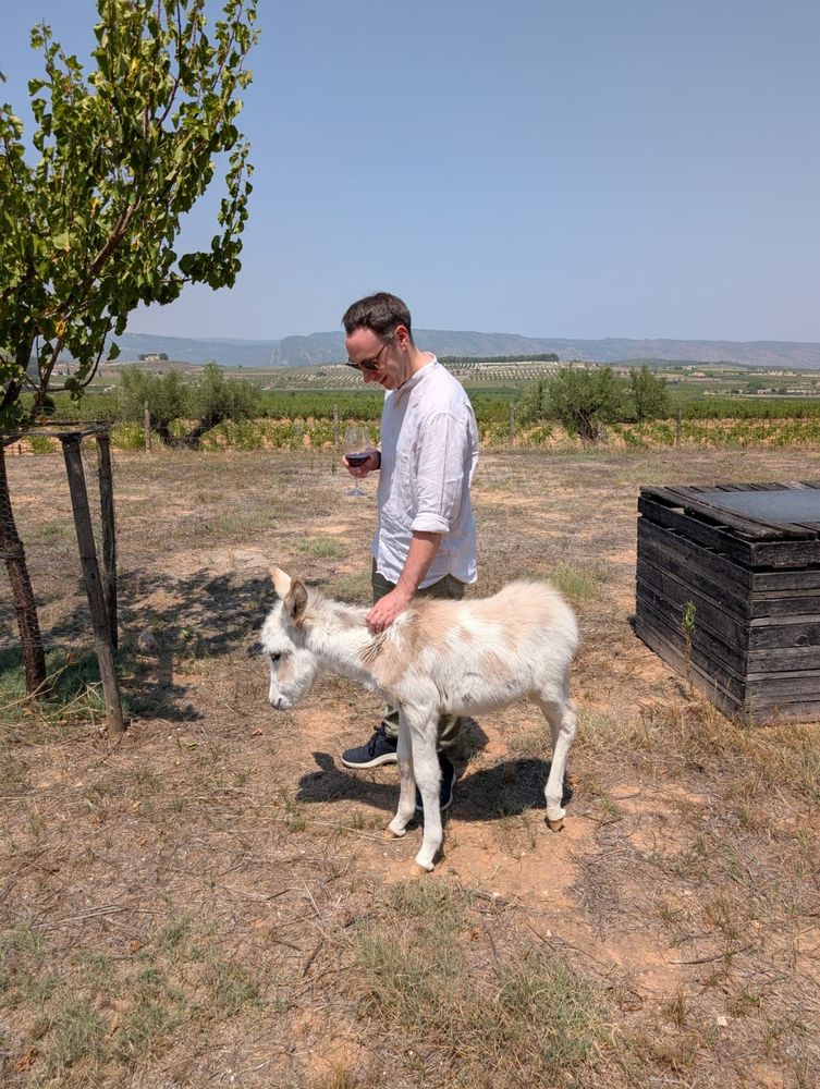 Man in a beige linen shirt stroking a small donkey  foal. 