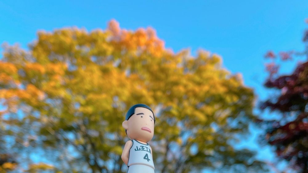 青空と千秋公園の紅葉とふかつ