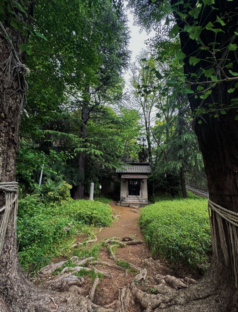 神田川側から永青文庫に行くのに旧な階段を登ると神様が祀ってある