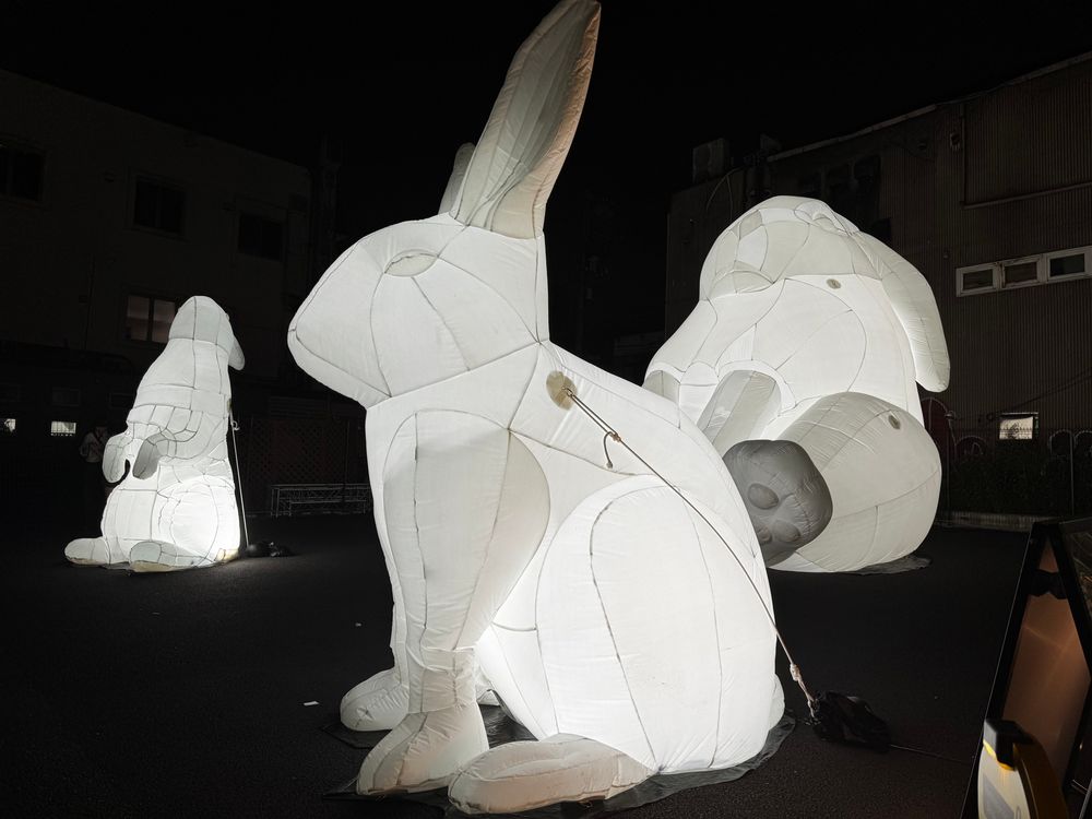 下北沢の満月のイベントのうさぎアート