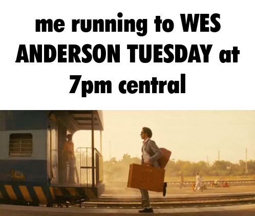 a gif of a scene from "The Darjeeling Limited" where a man is running up to the caboose of a train with a suitcase in hand. captioned "me running to WES ANDERSON TUESDAY at 7pm central"