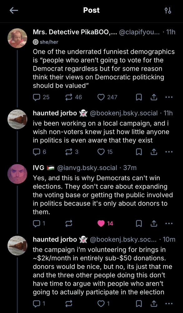 Post
Mrs. Detective PikaBOO @clapifyou... • 11h
• she/her
One of the underrated funniest demographics is "people who aren't going to vote for the Democrat regardless but for some reason think their views on Democratic politicking should be valued"
25
₴ 46
O 247
①
haunted jorbo yo
@bookenj.bsky.social • 11h
ive been working on a local campaign, and i wish non-voters knew just how little anyone in politics is even aware that they exist
6
3
15
企
IVG
@ianvg.bsky.social • 37m
Yes, and this is why Democrats can't win elections. They don't care about expanding the voting base or getting the public involved in politics because it's only about donors to them.
1
14
haunted jorbo &
@bookenj.bsky.soc…• 10m
the campaign i'm volunteering for brings in ~$2k/month in entirely sub-$50 donations. donors would be nice, but no, its just that me and the three other people doing this don't have time to argue with people who aren't going to actually participate in the election