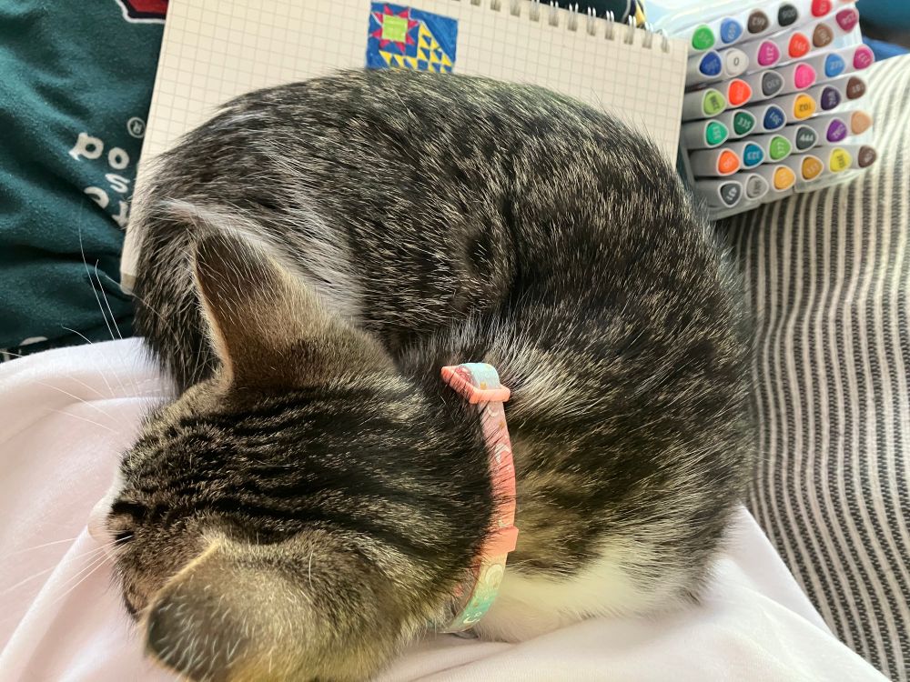 A tabby kitten is curled up asleep. You can see the back of his head, not his face. He is half on my white shirt and half on graph paper with a small shooting star-esque quilt pattern drawn. You can also see my markers in the background. 