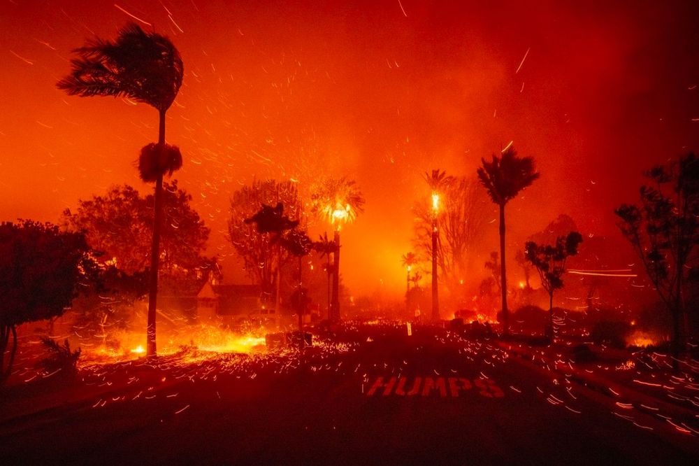 A street is orange from flames and you can see the high winds in the palm trees. Sparks fly down the street