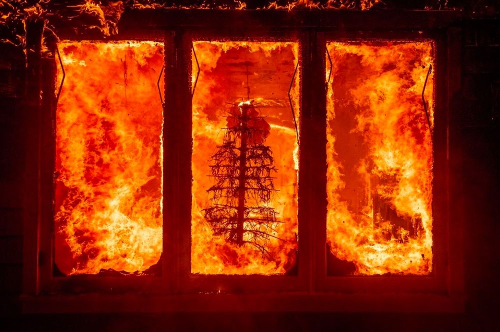 The inside of a house is a ball of flames. The only visible thing inside is a burning Christmas tree