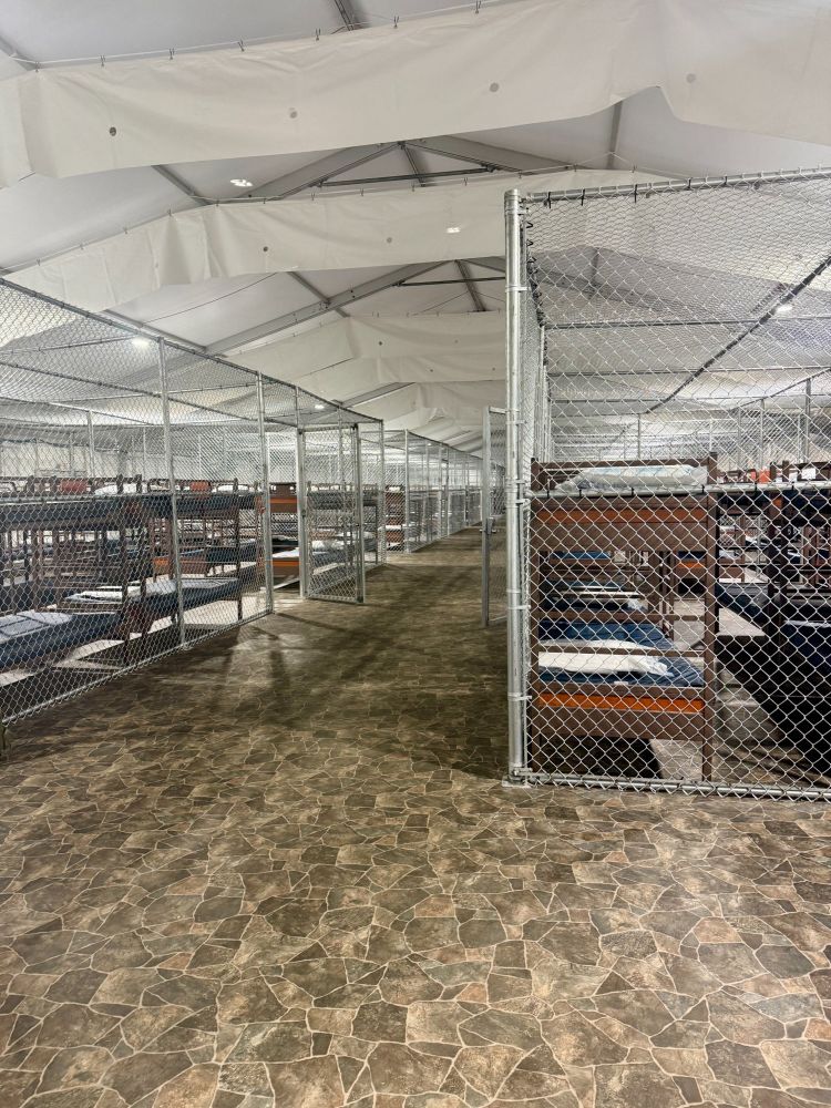 A photo inside a detainment tent at Alligator Alcatraz/Alligator Auchwitz. It shows cages that will house detainees, which have rudimentary bunk beds in them under the canopy.  This photo is a credit to Jason Delgado, Florida Capitol Correspondent for Spectrum 13 News.