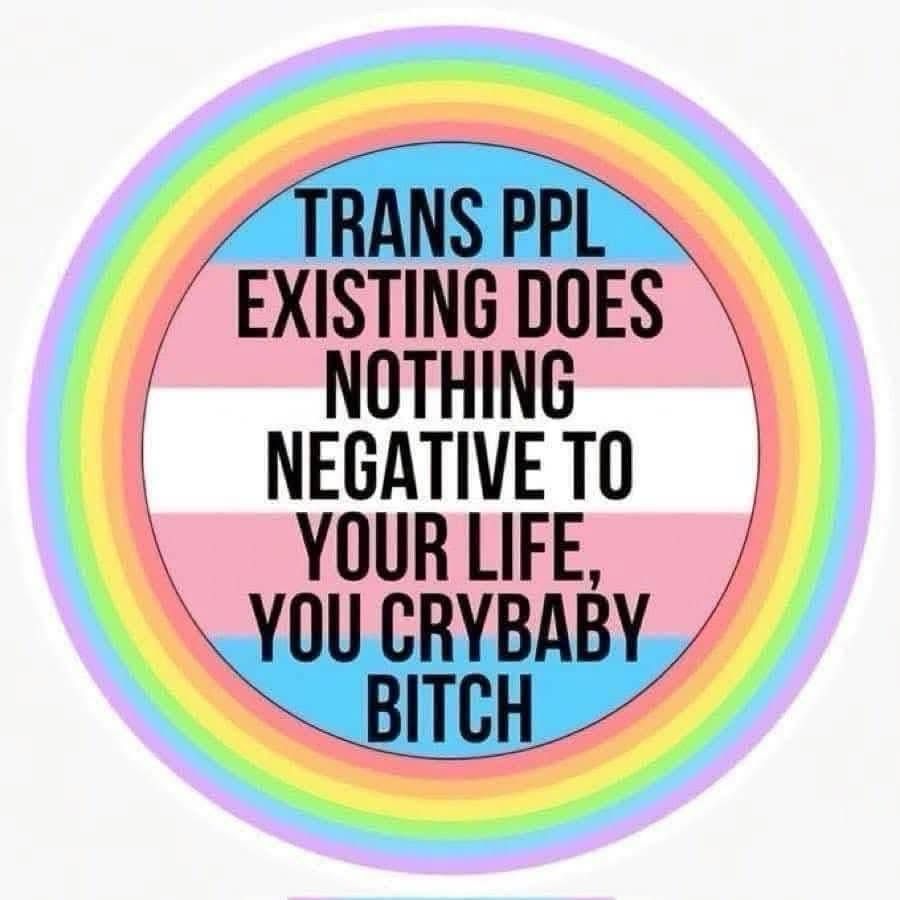 Circular trans flag within a rainbow and written on it is “trans ppl existing does nothing negative to your life, you crybaby bitch”