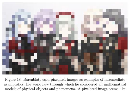 Barenblatt used pixelated images as examples of intermediate asymptotics, the worldview through which he considered all mathematical models of physical objects and phenomena.