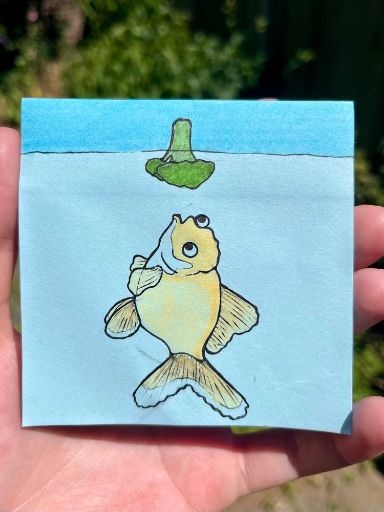 Coloured pen and ink line drawing of an orange and white goldfish swimming up to eat a broccoli floret a la Jaws.