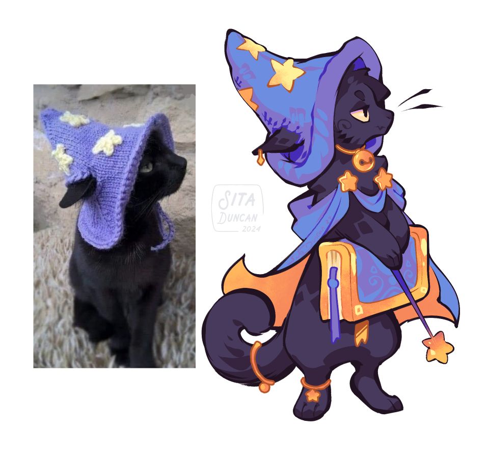 An illustration of a black cat in a big pointy hat. They wear a violet and golden cape, and hold a book and a wand. There's a photo of a cat in a knitted hat beside the illustration.