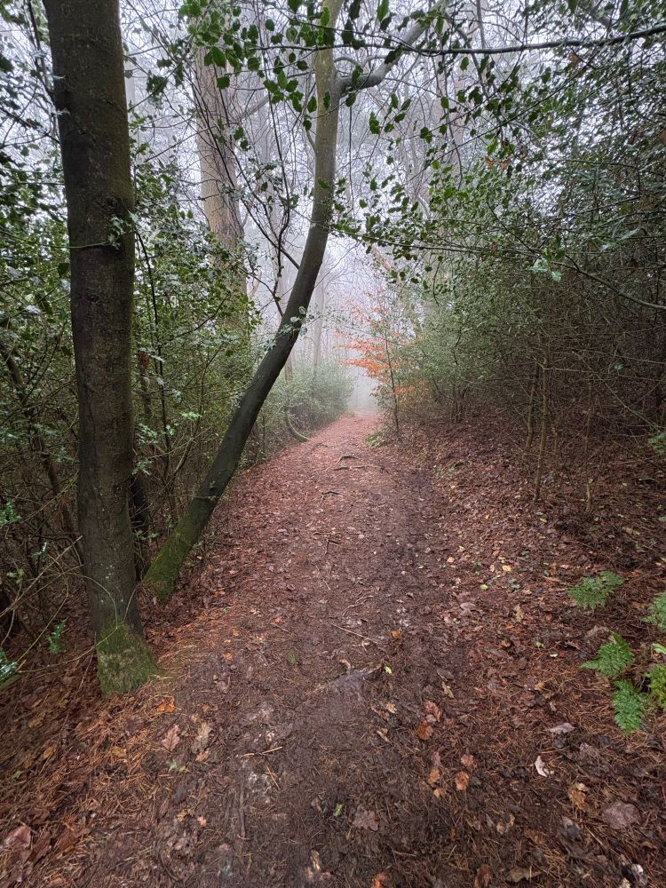 Misty autumnal path near the Devil’s Punchbowl
