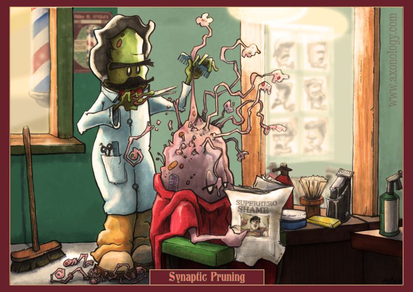 Cartoon of a microglia barber pruning the dendrites from a neuron