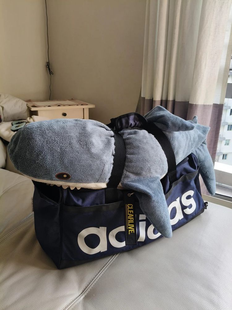 blahaj ikea shark strapped to a sport adidas bag