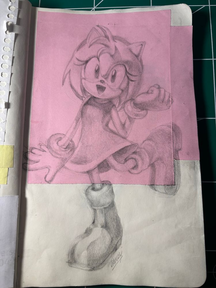drawing of amy rose